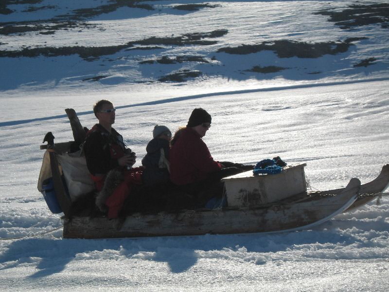 Sokonger ved Ukalerateq, maj 2006 00112.jpg